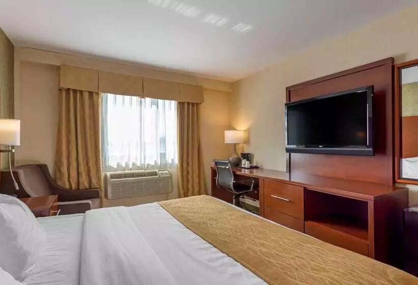 Fotos del hotel Comfort Inn Brooklyn:  20