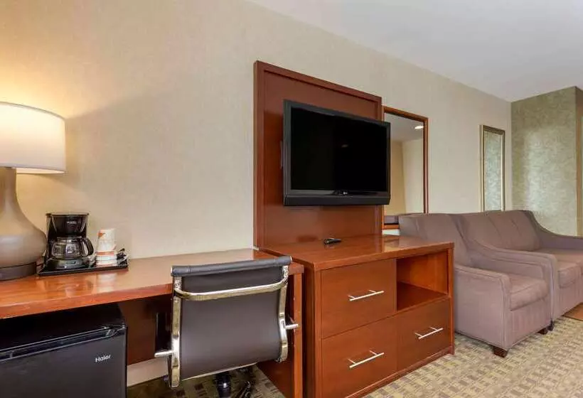 Fotos del hotel Comfort Inn Brooklyn:  24