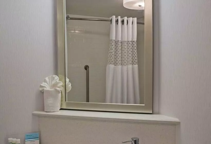 Fotos del hotel Hampton Inn Philadelphia-airport:  5