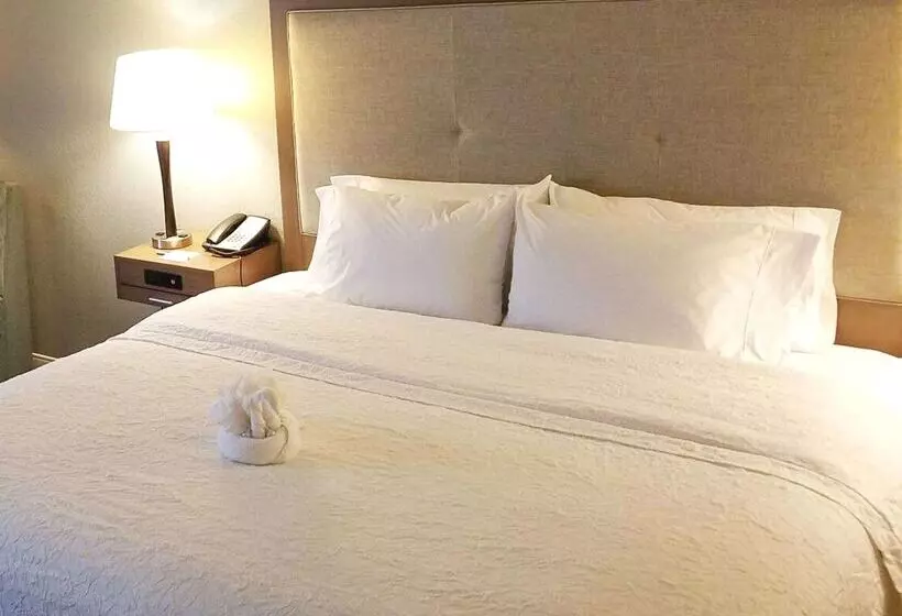 Fotos del hotel Hampton Inn Philadelphia-airport:  21