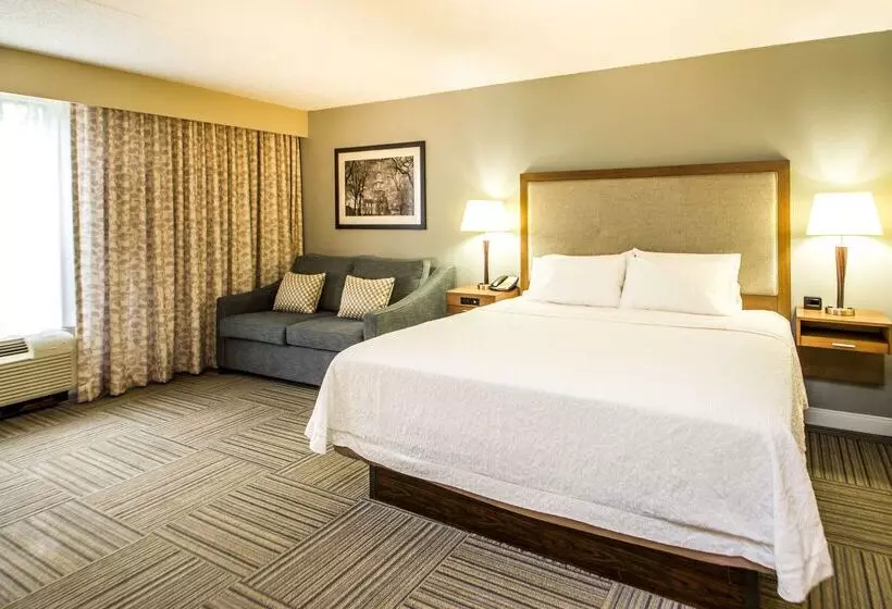 Fotos del hotel Hampton Inn Philadelphia-airport:  20