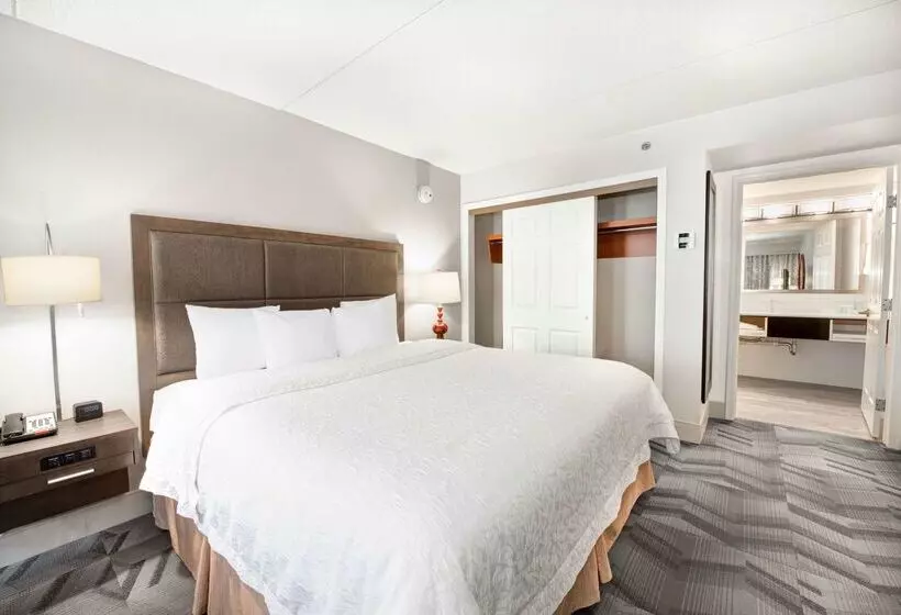 Fotos del hotel Hampton Inn & Suites Atlanta-galleria:  24