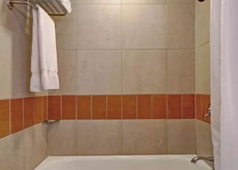 Fotos del hotel Giraffe By Library Hotel Collection:  9