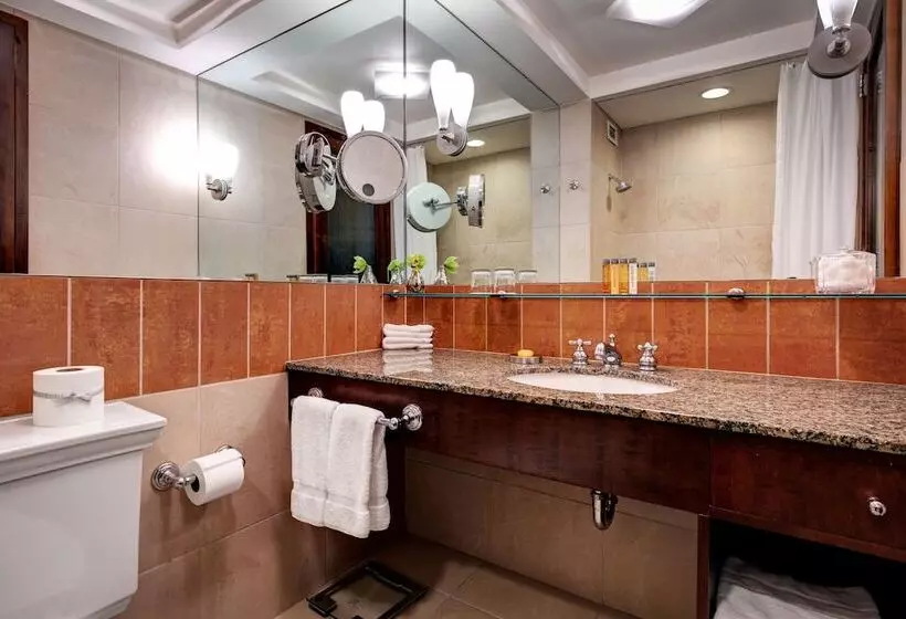 Fotos del hotel Giraffe By Library Hotel Collection:  4