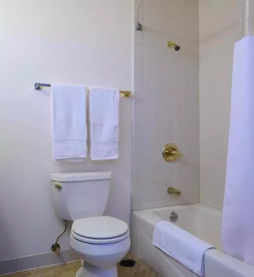 Fotos del hotel Sw:  14