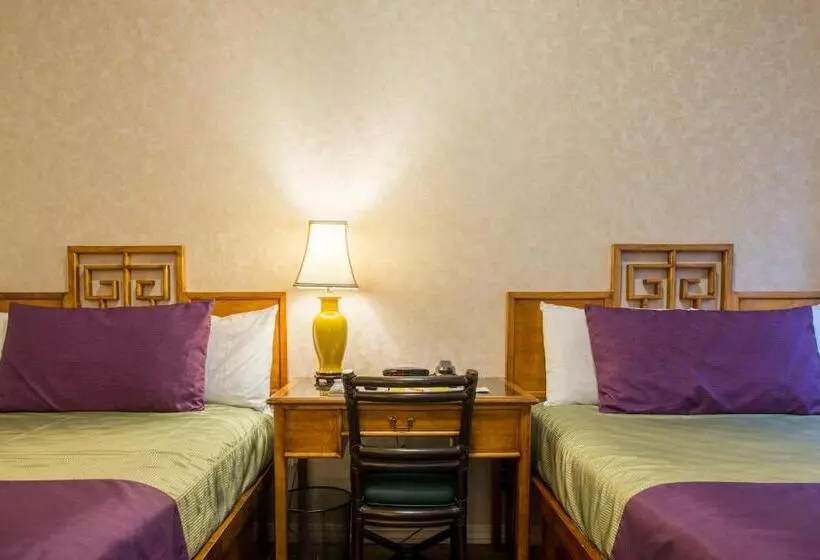 Fotos del hotel Sw:  17