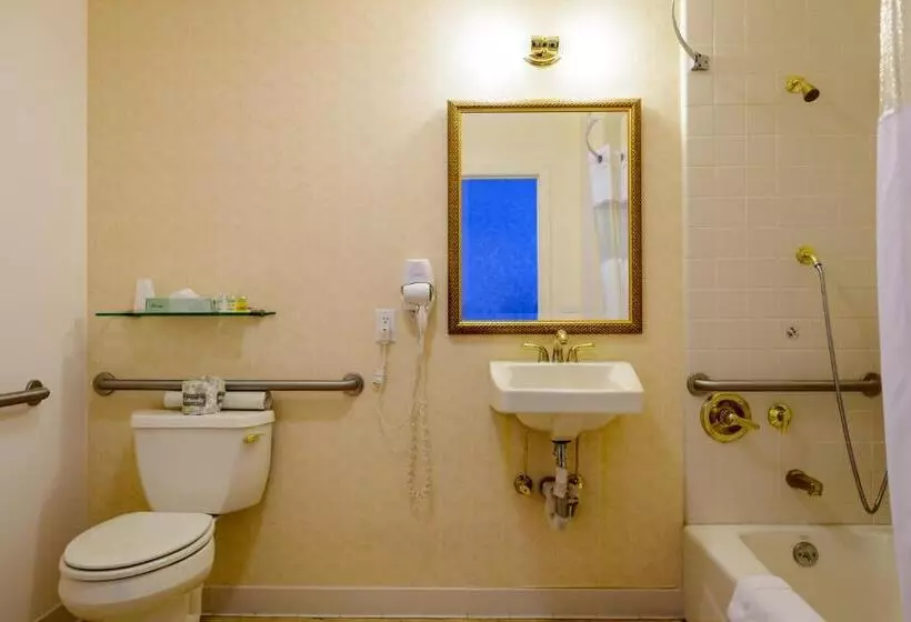 Fotos del hotel Sw:  7