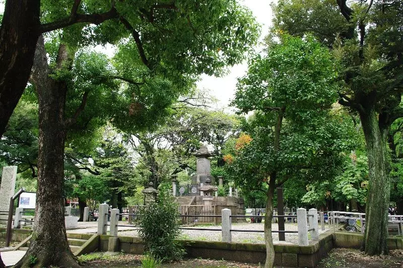 Fotos del hotel Akari Ueno Iriya:  6
