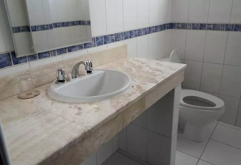 Fotos del hotel Conde De Lemos:  19