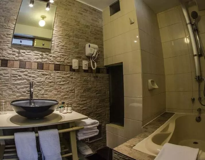 Fotos del hotel Conde De Lemos:  6