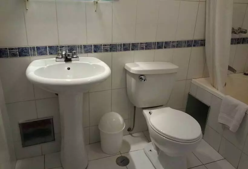 Fotos del hotel Conde De Lemos:  23