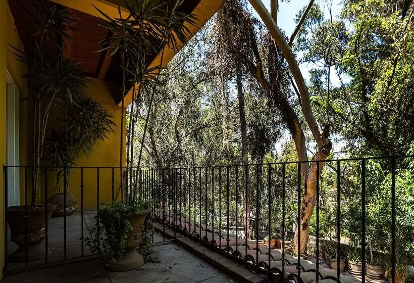 Fotos del hotel Capital O Hacienda Del Molino:  5