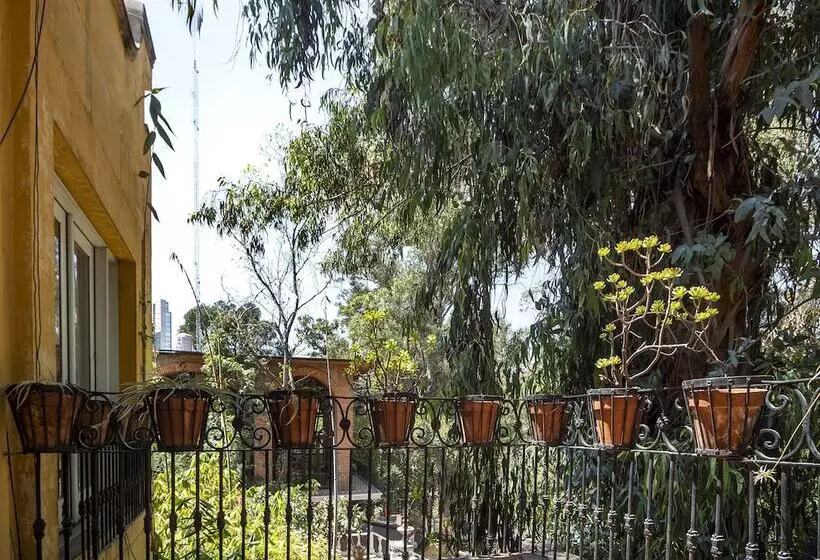 Fotos del hotel Capital O Hacienda Del Molino:  13