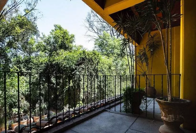 Fotos del hotel Capital O Hacienda Del Molino:  10