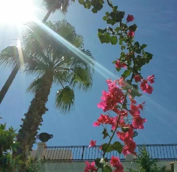 Fotos del hotel Sao Joao De Deus By Ridan S:  20