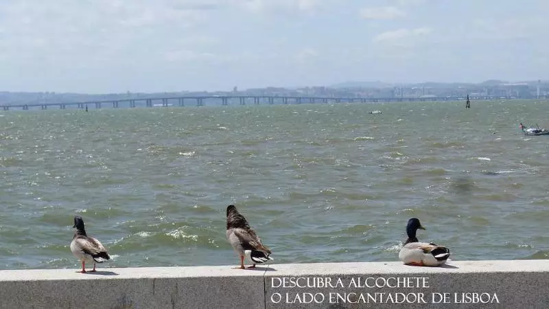 Fotos del hotel Al Foz:  6