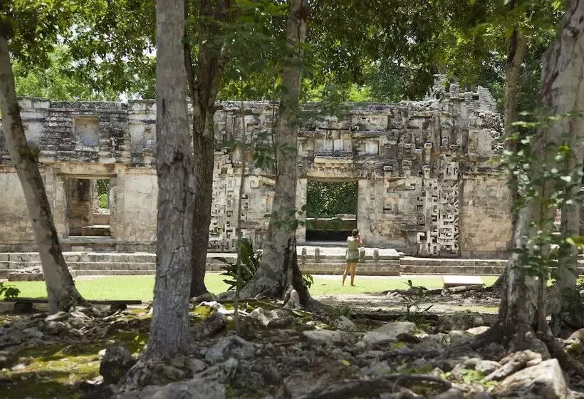 Fotos del hotel Chicanná Ecovillage Resort:  19