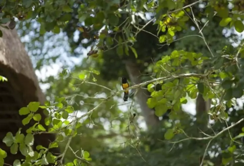 Fotos del hotel Chicanná Ecovillage Resort:  7