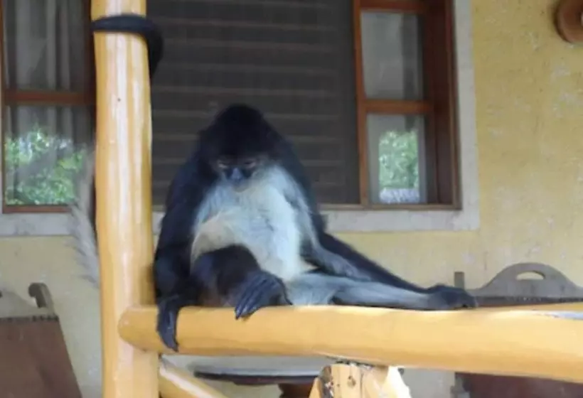 Fotos del hotel Chicanná Ecovillage Resort:  15