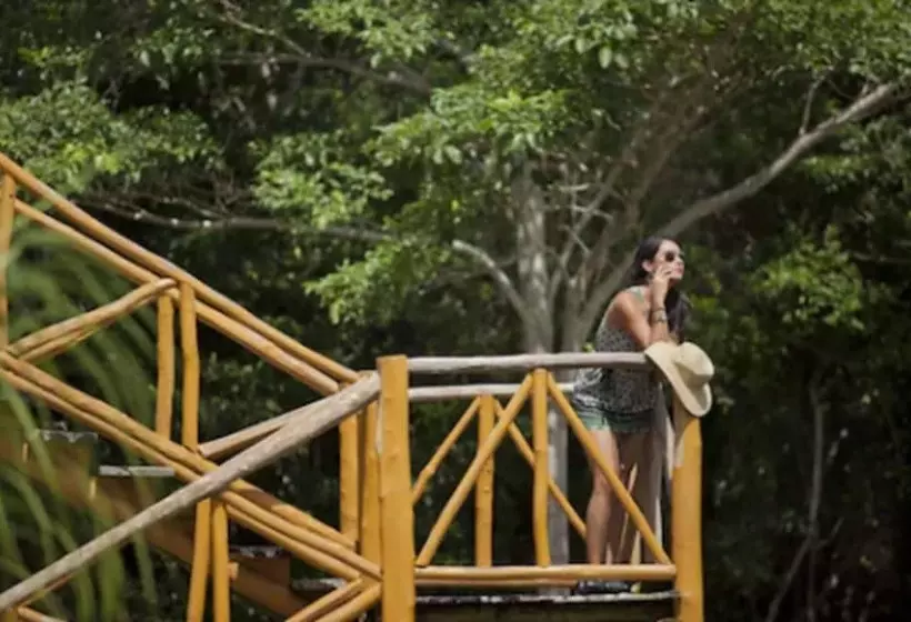 Fotos del hotel Chicanná Ecovillage Resort:  25