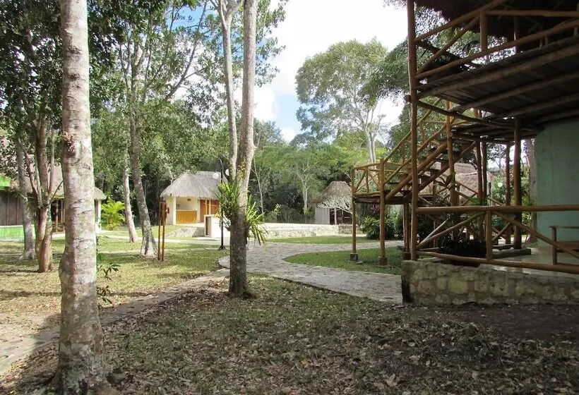 Fotos del hotel Chicanná Ecovillage Resort:  5