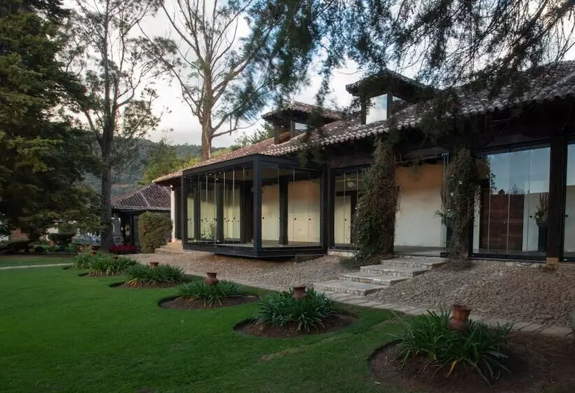 Fotos del hotel Uvence Arte +:  8