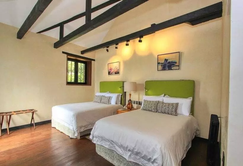 Fotos del hotel Uvence Arte +:  18