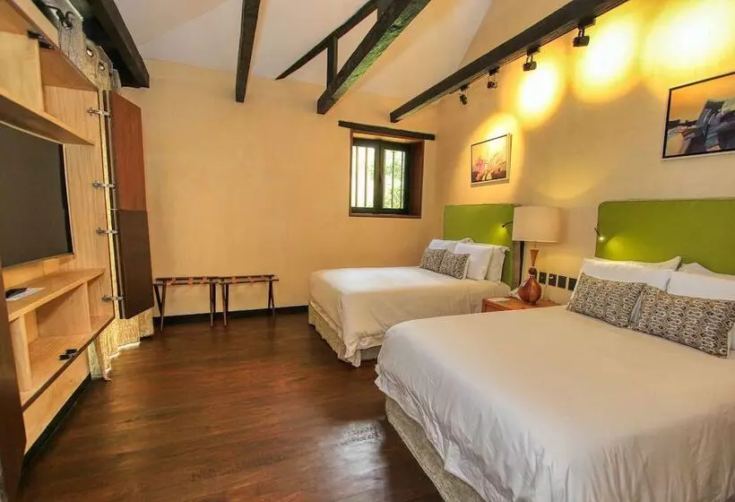 Fotos del hotel Uvence Arte +:  20