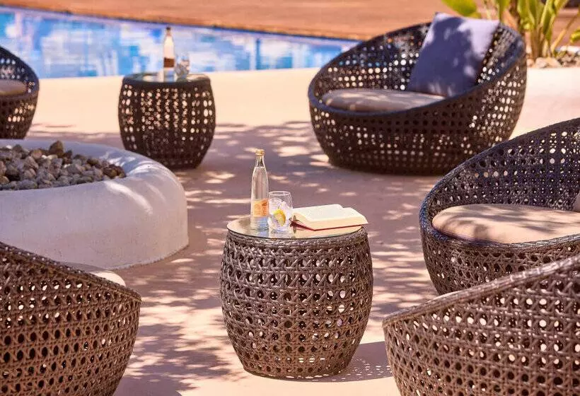 Fotos del hotel Alegria Alzinar Mar Suites - Adults Recomended:  36