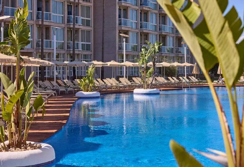 Fotos del hotel Alegria Alzinar Mar Suites - Adults Recomended:  24