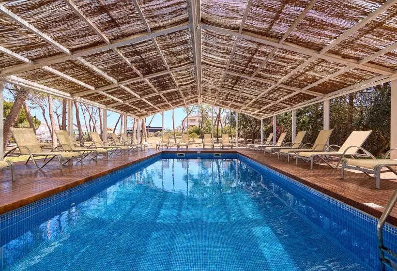 Fotos del hotel Alegria Alzinar Mar Suites - Adults Recomended:  20