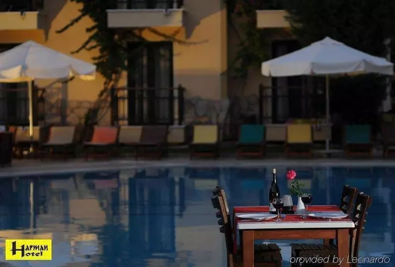 Fotos del hotel Harman:  6