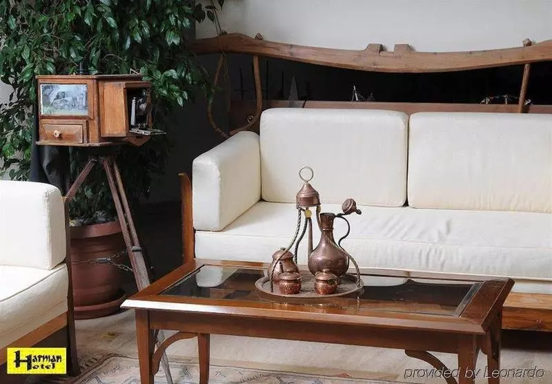 Fotos del hotel Harman:  2