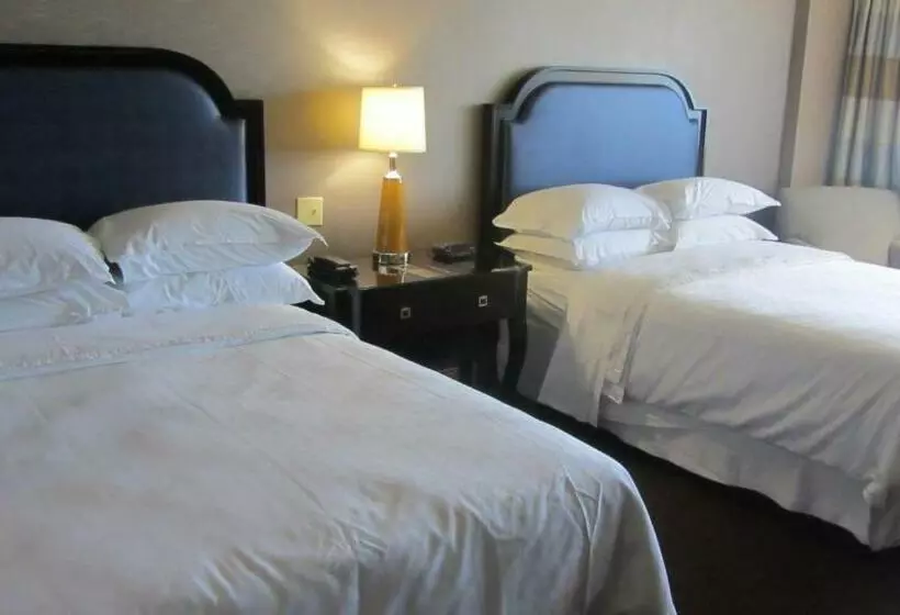 Fotos del hotel Sheraton North Houston At George Bush Intercontinental:  7