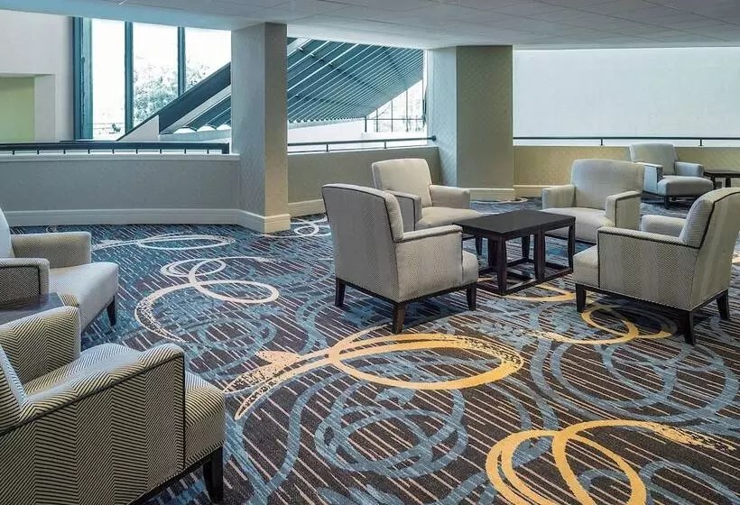 Fotos del hotel Sheraton North Houston At George Bush Intercontinental:  8