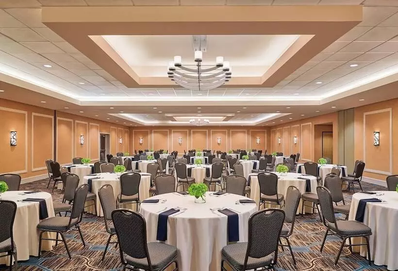 Fotos del hotel Sheraton North Houston At George Bush Intercontinental:  25