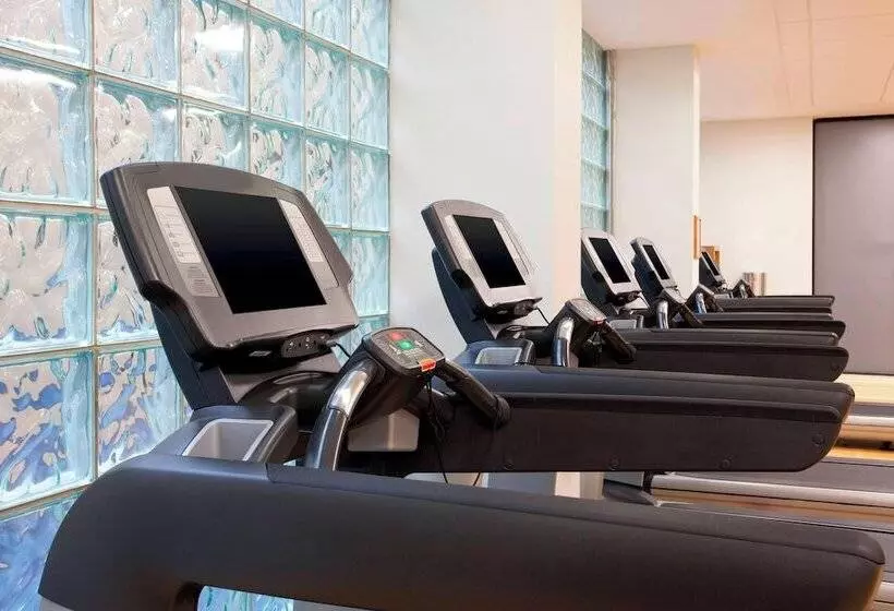 Fotos del hotel Sheraton North Houston At George Bush Intercontinental:  18