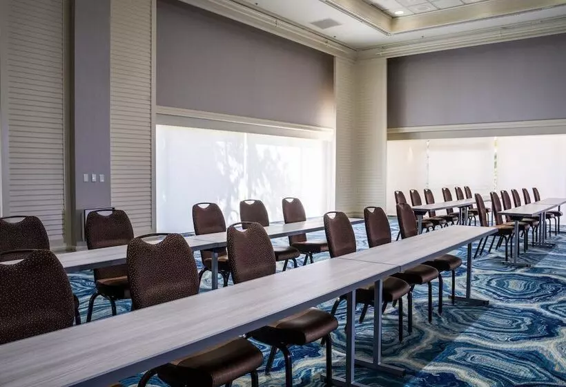 Fotos del hotel The Mirage:  5