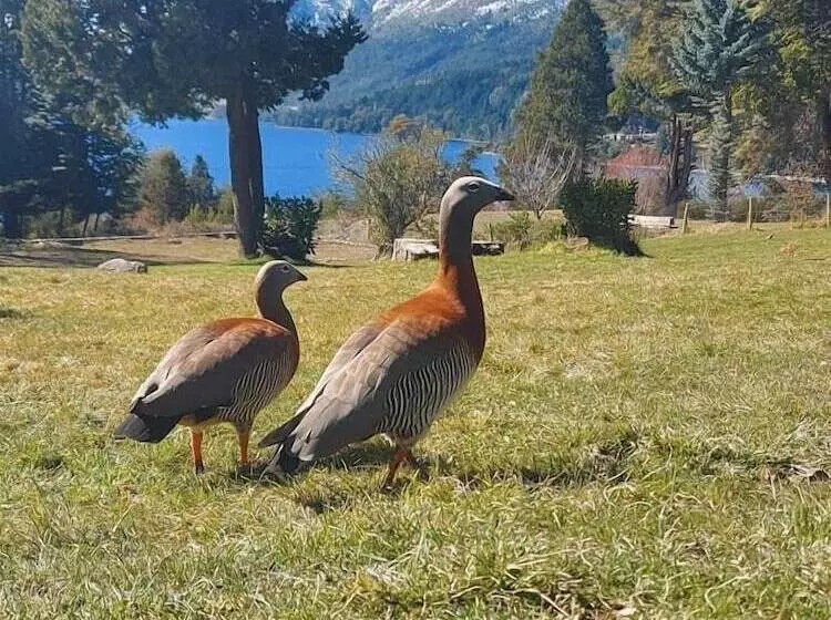 Fotos del hotel Casa Del Lago:  25