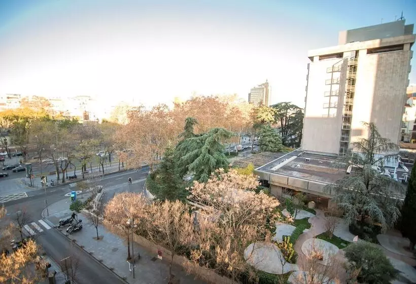 Fotos del hotel Petit Palace President Castellana:  5