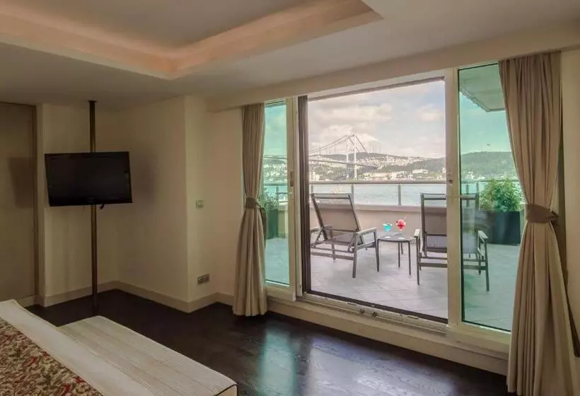 Fotos del hotel Radisson Blu Bosphorus:  11