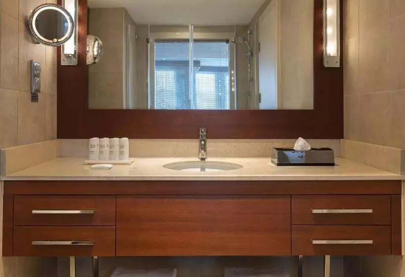 Fotos del hotel Radisson Blu Bosphorus:  13