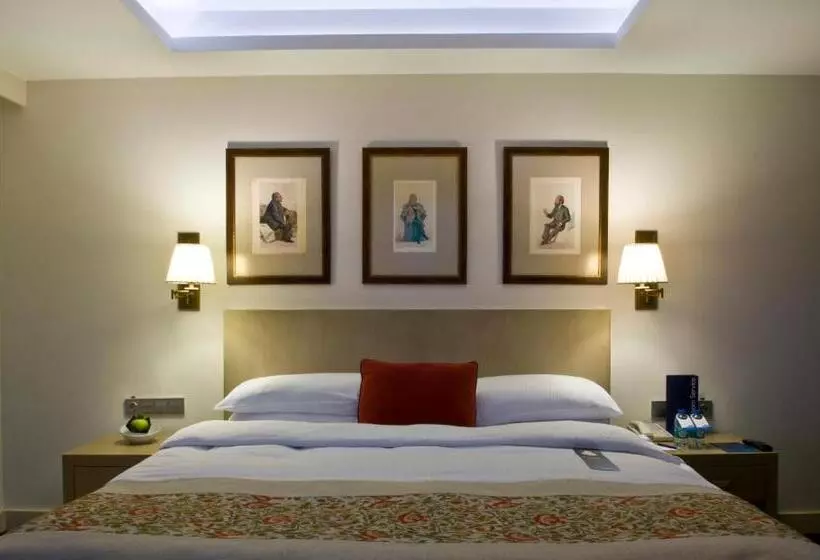 Fotos del hotel Radisson Blu Bosphorus:  15