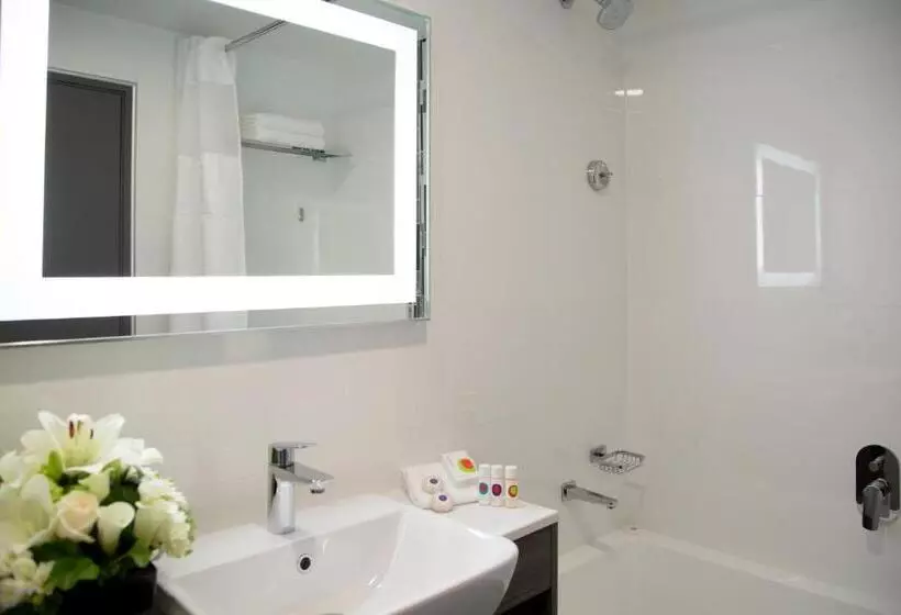 Fotos del hotel Sudima Hotel Christchurch Airport:  13