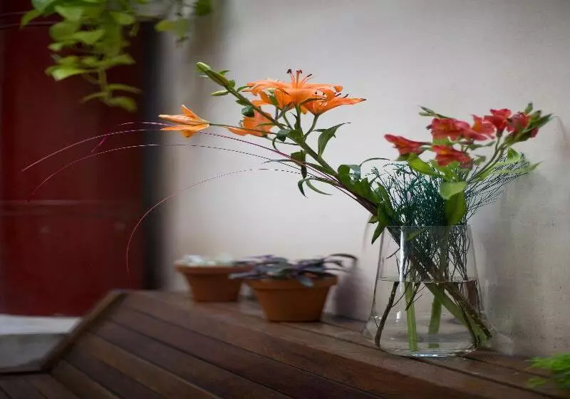 Fotos del hotel Uthgra De Las Luces:  13