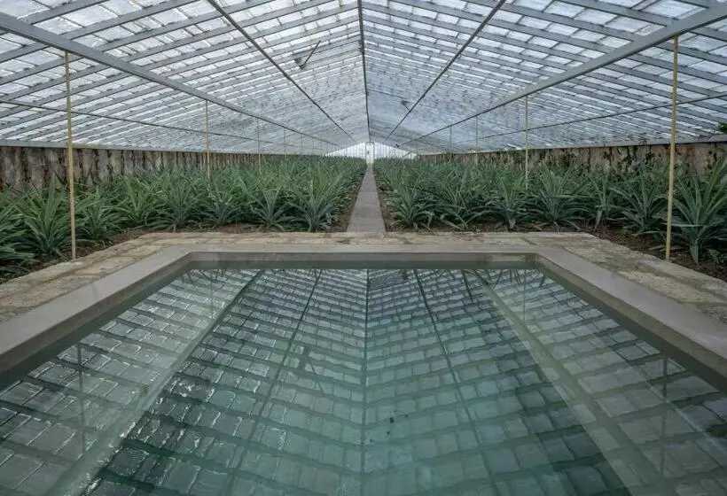 Fotos del hotel Senhora Da Rosa, Tradition & Nature:  19