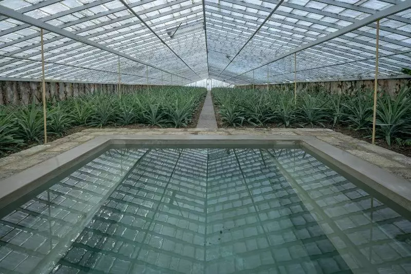 Fotos del hotel Senhora Da Rosa, Tradition & Nature:  15