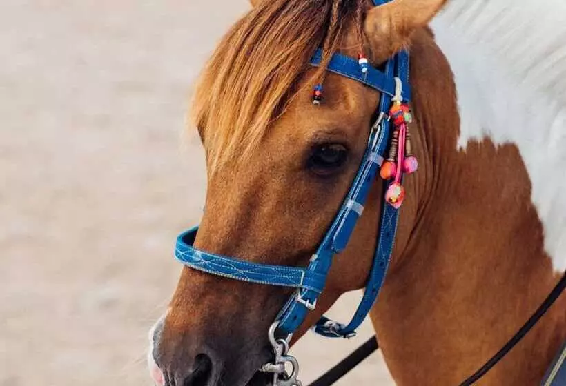 Fotos del hotel The Peri  Hua Hin:  7