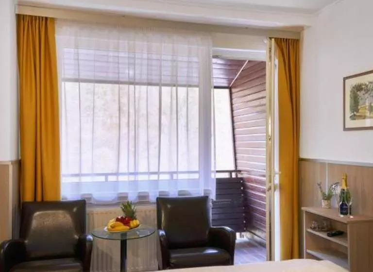 Fotos del hotel Wellness Hotel Green Paradise:  24