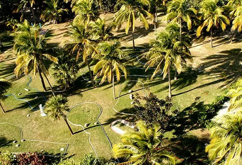 Fotos del hotel Gran Caribe Playa Caleta Salsa Club:  15